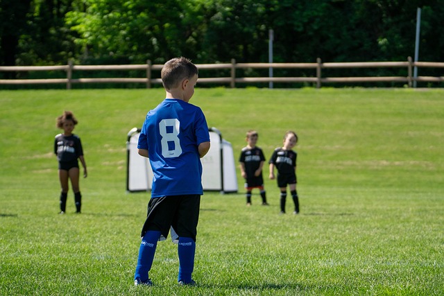 公牛分道扬 公牛分道扬