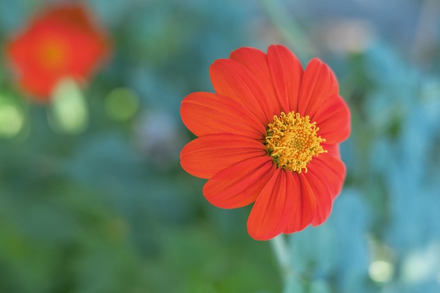场抓住机会 场抓住机会